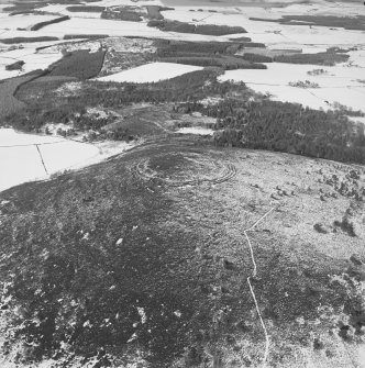 Oblique aerial view of the remains of fort taken from the S.
