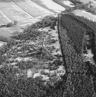 Oblique aerial view of the remains of fort and rig, taken from the WNW.
