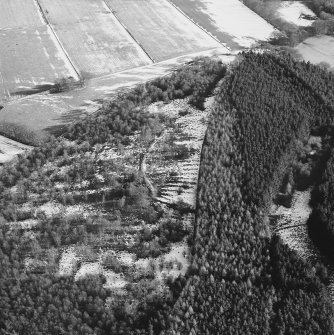 Oblique aerial view of the remains of fort and rig, taken from the W.