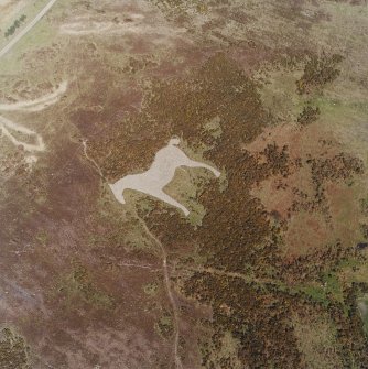 Oblique aerial view centred on the hill-figure of a horse, taken from the W.