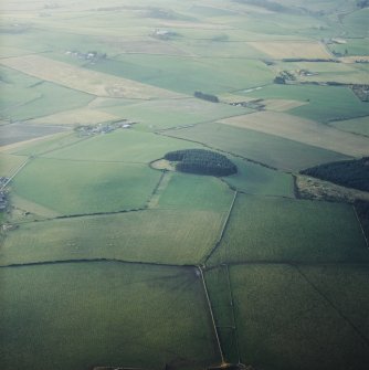 General oblique aerial view centred on the remains of the recumbent stone circle with the farmsteading adjacent, taken from the E.