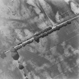 Oblique aerial view.