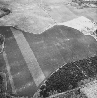 Oblique aerial view.