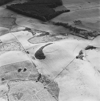 Oblique aerial view centred on the remains of the fort, taken from the NE.