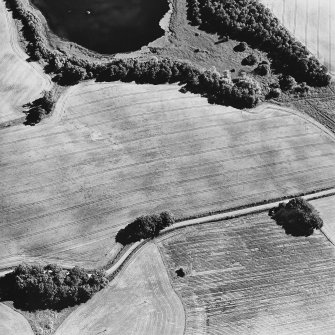 Oblique aerial view centred on the possible ring-ditch, taken from the NNE.