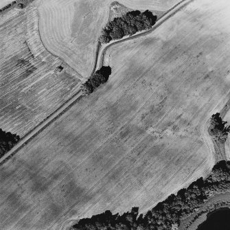 Oblique aerial view centred on the possible ring-ditch, taken from the SW.