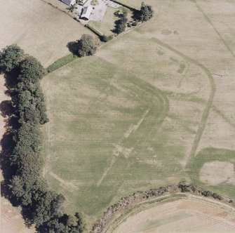 Dalginross, oblique aerial view, taken from the WNW, centred on the cropmarks of the Roman Fort.