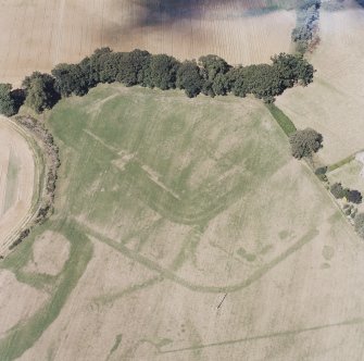 Dalginross, oblique aerial view, taken from the S, centred on the cropmarks of the Roman Fort. The N entrance of the Roman Temporary camp is visible in the bottom centre of the photograph.