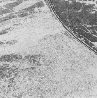 Oblique aerial view of Sheriff Muir centred on trackways, gun-emplacements, bunkers and trenches, taken from the SE.