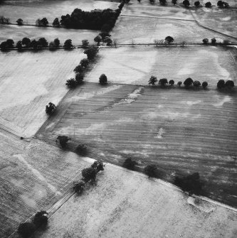 Oblique aerial view.