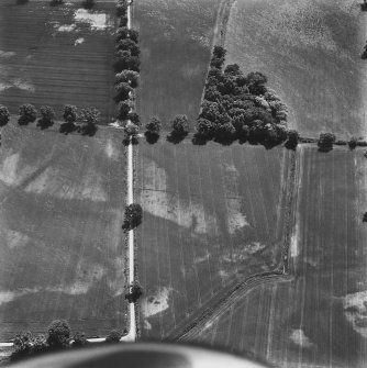 Oblique aerial view.