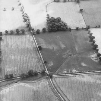 Cuiltburn, oblique aerial view, taken from the NNE, centred on a series of cropmarks.