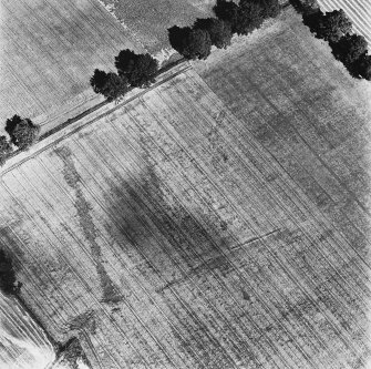 Strageath Roman Fort, oblique aerial view, taken from the SSW, centred on the cropmarks of the western annexe.