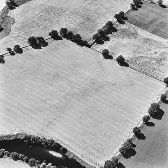 Strageath, oblique aerial view, taken from the NE, showing linear cropmarks, part of the Annexe and a possible Roman road. The Roman fort is visible in the top half of the photograph.