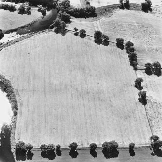 Strageath, oblique aerial view, taken from the N, showing linear cropmarks, part of the Annexe and a possible Roman road. The Roman fort is visible in the top half of the photograph.