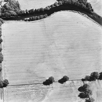 Strageath, oblique aerial view, taken from the W, showing linear cropmarks, part of the Annexe and a possible Roman road.