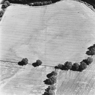 Strageath, oblique aerial view, taken from the WSW, showing linear cropmarks, part of the Annexe and a possible Roman road.