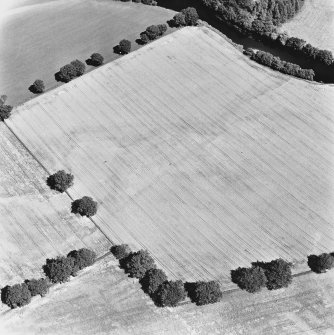 Strageath, oblique aerial view, taken from the SSW, showing linear cropmarks, part of the Annexe and a possible Roman road.