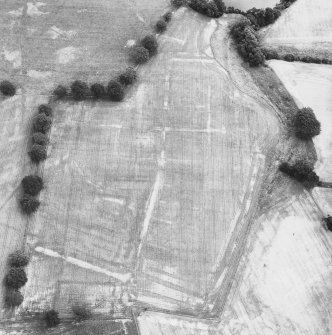 Oblique aerial view.