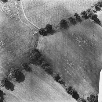 Oblique aerial view.