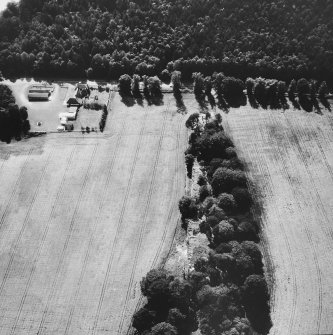 Oblique aerial view.