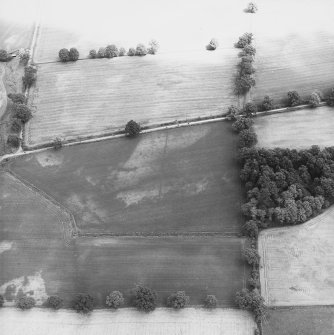 Cuiltburn, oblique aerial view, taken from the SW, centred on a series of cropmarks.