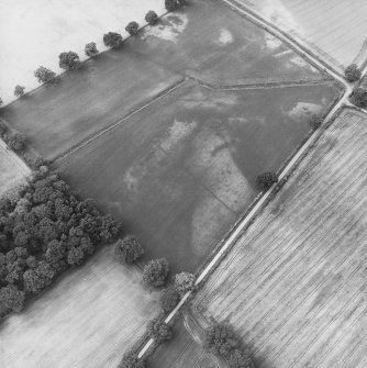Cuiltburn, oblique aerial view, taken from the ESE, centred on a series of cropmarks.