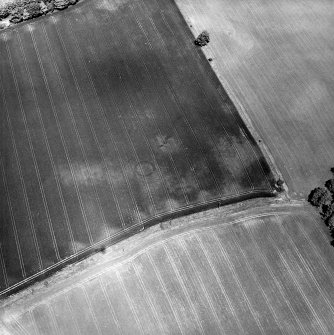Oblique aerial view centred on the cropmarks of the Roman watch tower and quarry pits, taken from the S.