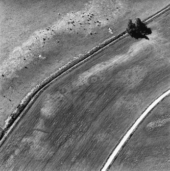 Monzie, oblique aerial view, taken from the NNE, centred on the cropmarks of a barrow, and a linear cropmark. The cropmarks of a moated site are visible in the bottom centre of the photograph.