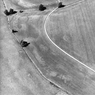 Monzie, oblique aerial view, taken from the SE, centred on the cropmarks of a barrow, possible ring-ditch and moated site. Cropmarks of a palisaded settlement are visible in the top half of the photograph.