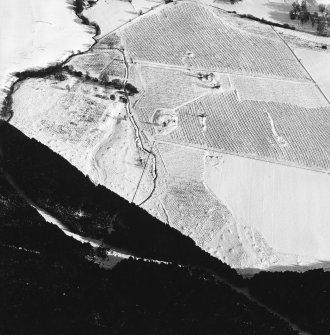 Oblique aerial view centred on the remains of the homestead and field-system, with the remains of the hut-circle, homestead, and building adjacent, taken from the WNW.