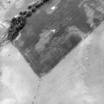 Belhie, oblique aerial view, taken from the NNE, centred on cropmarks including a ring-ditch, and an enclosure surrounding a standing stone.