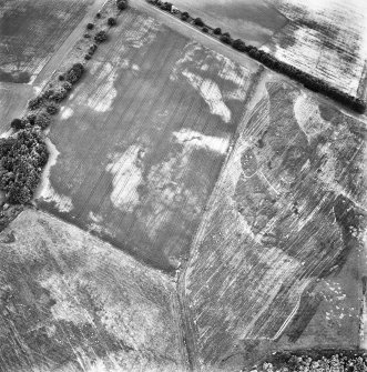Belhie, oblique aerial view, taken from the ENE, centred on cropmarks including a ring-ditch, and an enclosure surrounding a standing stone.