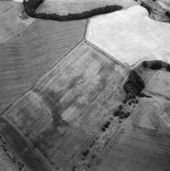 Oblique aerial view.