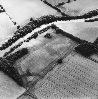 Oblique aerial view of Innerpeffray centred on the remains of the tower house and the cropmarks of a possible garden, a fort, and a pit-alignment, taken from the NNE.