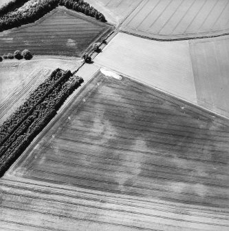 Oblique aerial view centred on the cropmarks of the pits, cropmarks and Roman Temporary Camp, taken from the NE.