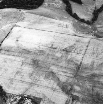 Aerial photograph showing ring-ditch and cropmarks.