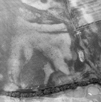 Westerton, oblique aerial view, taken from the ENE, centred on the cropmarks of a rectangular pit-defined enclosure.