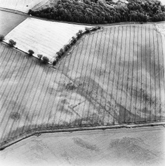 Kirklands of Damside, oblique aerial view takne from the NW, centred on the cropmarks of an enclosure, other cropmarks are visible in the area.