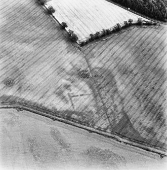 Kirklands of Damside, oblique aerial view takne from the W, centred on the cropmarks of an enclosure, other cropmarks are visible in the area.