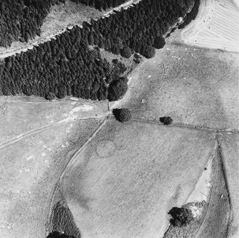 Cuil-an-Daraich, oblique aerial view, taken from the SW, centred on the cropmark of an enclosure. A palisaded enclosure is visible at the bottom edge of the photograph.