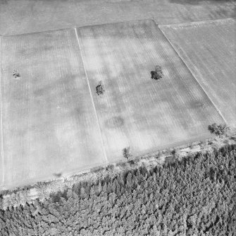 Oblique aerial view.