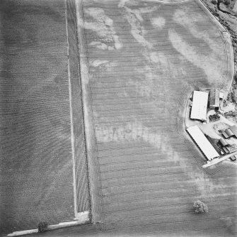 Leadketty, oblique aerial view, taken from the WSW, centred on the cropmarks of a possible henge, ring-ditches and pits. The cropmarks of an enclosure, pits and parts of a pit-defined enclosure are visible in the top half of the photograph.