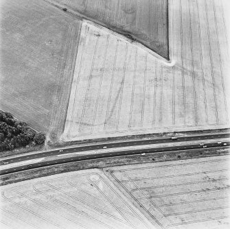 Upper Cairnie, oblique aerial view taken from the NW, centred on the cropmarks of an enclosure.