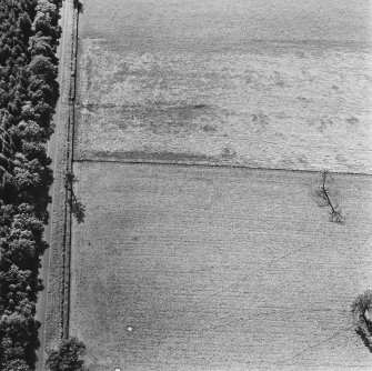 Moss Side, oblique aerial view, taken from the ENE, centred on the cropmarks of a Roman Watch Tower.