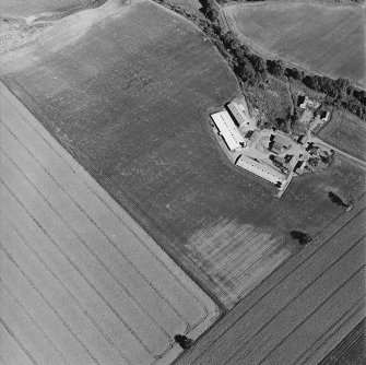 Leadketty, oblique aerial view, taken from the WNW, centred on the cropmarks of a possible henge, pits and ring-ditch.