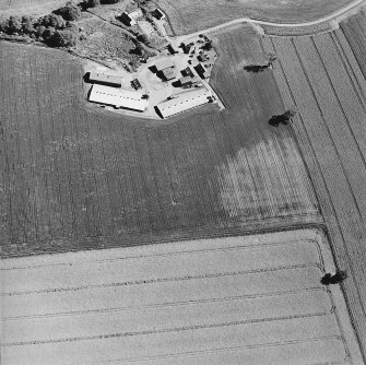 Leadketty, oblique aerial view, taken from the NNW, centred on the cropmarks of a possible henge, pits and ring-ditch.