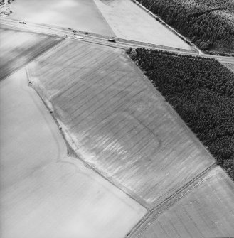 Oblique aerial view centred on the cropmarks of the enclosures, taken from the ESE.
