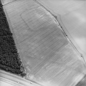 Oblique aerial view centred on the cropmarks of the enclosures, taken from the WNW.