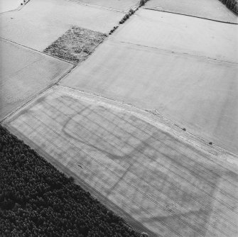 Oblique aerial view of the cropmarks of the enclosures and rig, taken from the NW.